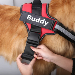 Personalized Breathable Pet Harness