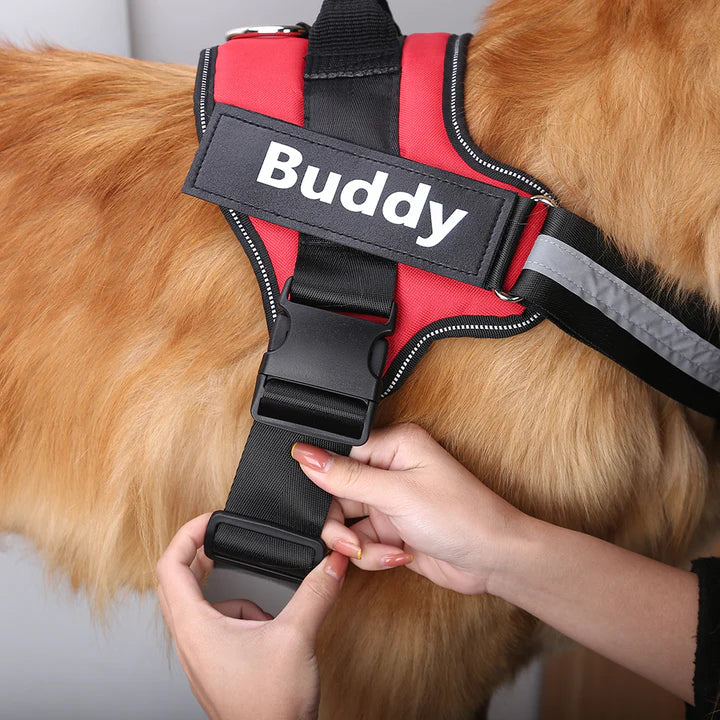 Personalized Breathable Pet Harness