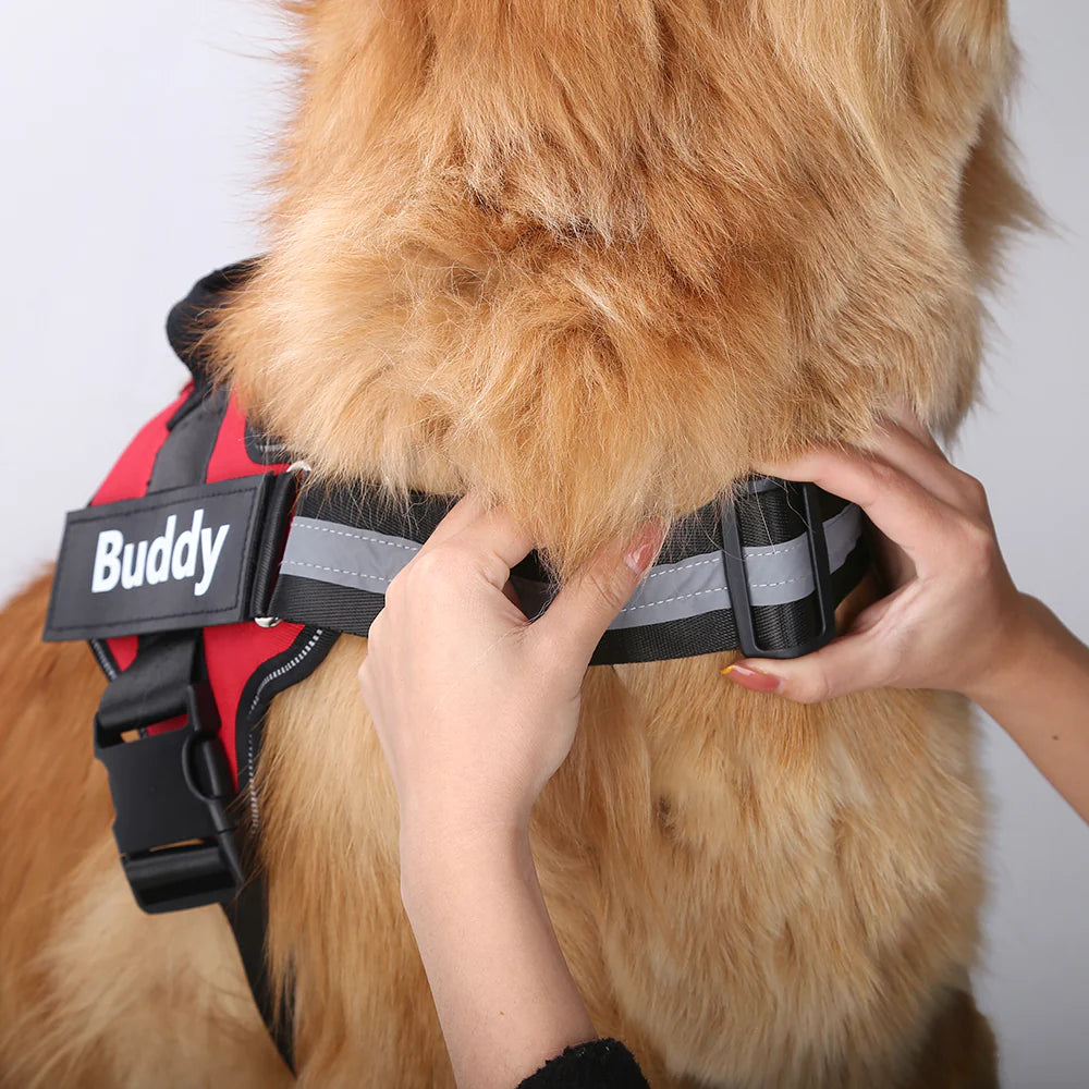 Personalized Breathable Pet Harness