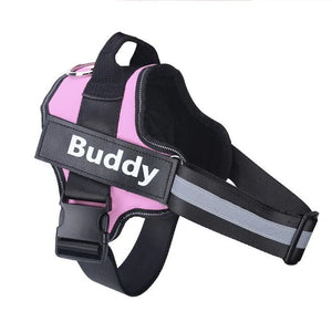 Personalized Breathable Pet Harness