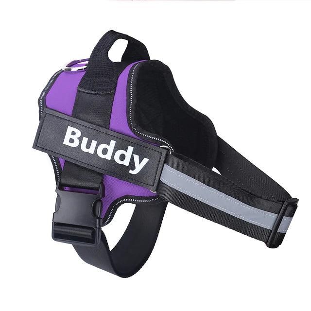 Personalized Breathable Pet Harness