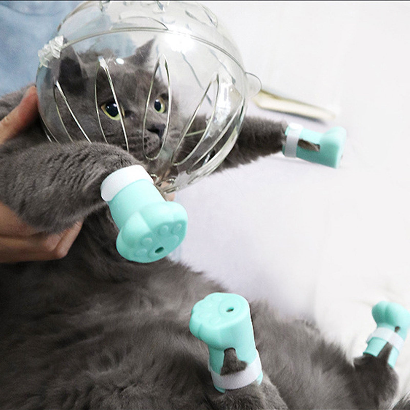 Grooming Cat Anti-bite Muzzle Helmet