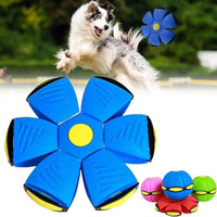 Dog Flying Saucer Ball - FREE TODAY ONLY