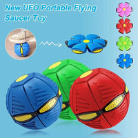 Dog Flying Saucer Ball - FREE TODAY ONLY